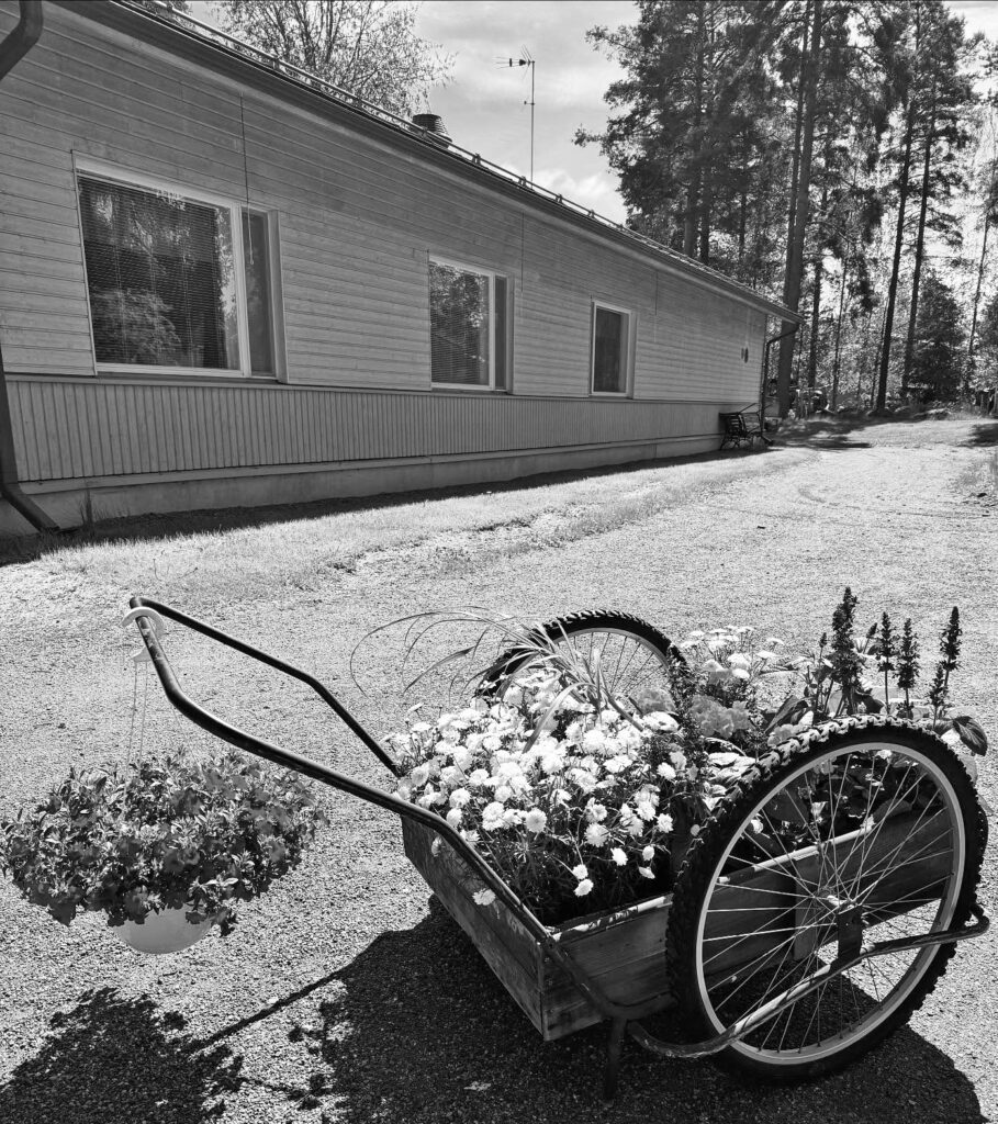 Kartano BW 501592224 18313192879238850 5452981263174238462 n copy