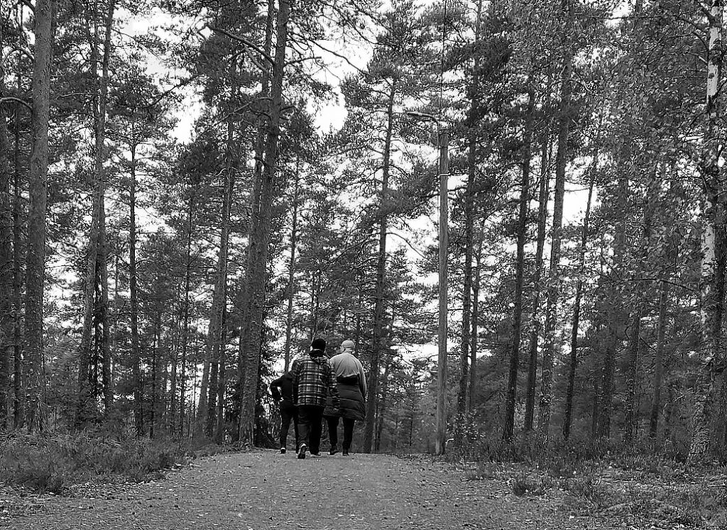 kartano lenkki BW 557795338 10234313979049324 8836761199194469261 n